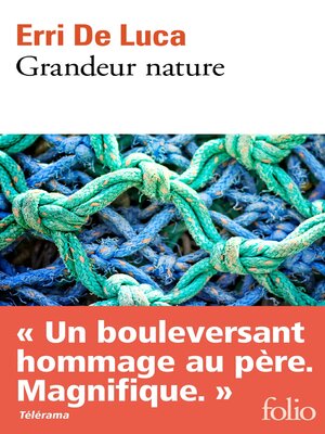 cover image of Grandeur nature
